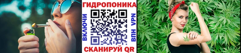darknet клад  Муром  МАРИХУАНА White Widow  купить наркотики сайты 